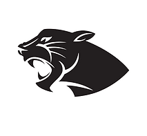 Perry High School Football