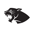 Perry High School Football